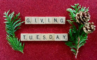 Disability Organizations to Support on GivingTuesday